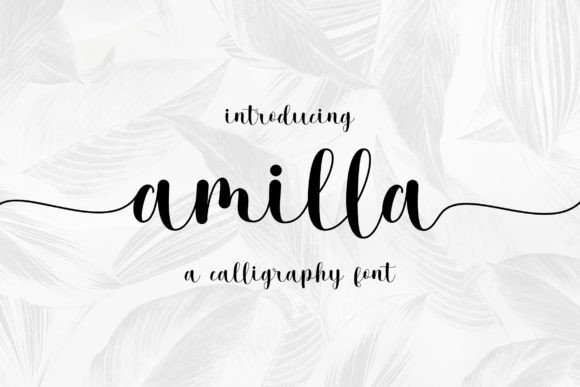 Amilla: A Handwritten Font That Elevates Digital Design