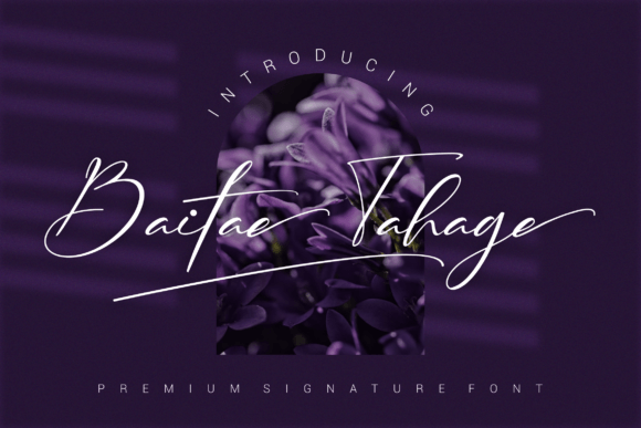 Baitae Tahage Font Review for Branding Projects