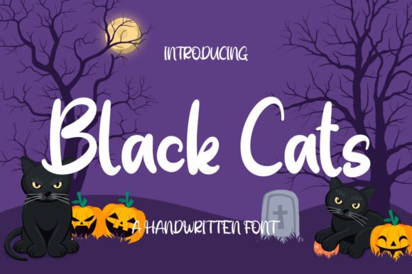 Black Cats Font Review for Branding Projects