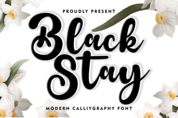 Black Stay: A Font That Transformed My Brand’s Visual Story