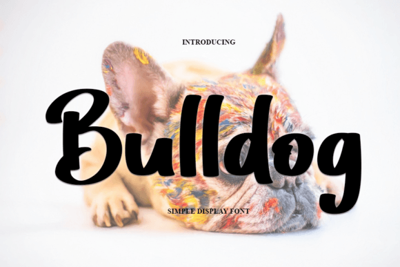 Bulldog Font for Professional Branding