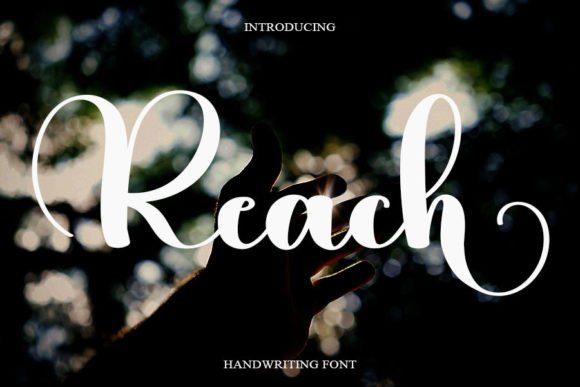 Discover the Elegance of Reach Font in Editorial Design