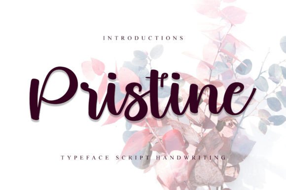 Pristine: A Handwritten Font That Elevates Editorial Design