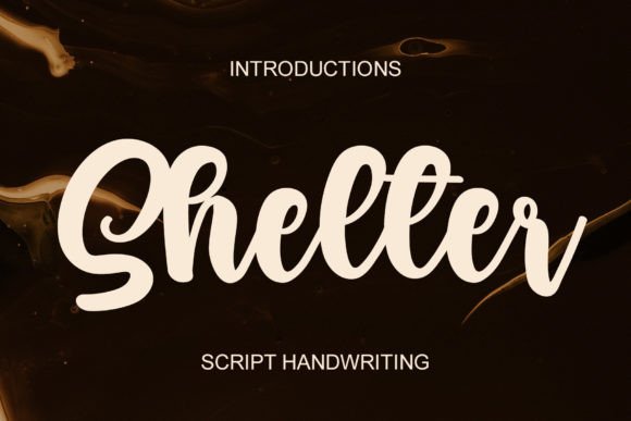 Shelter: A Handwritten Script Font for Modern Campaigns